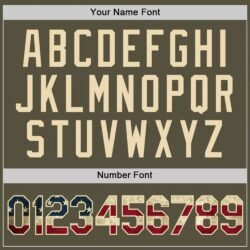 Custom Olive Vintage USA Flag-Cream Performance Salute To Service T-Shirt - Image 5