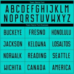 Custom Aqua Black Sublimation Soccer Uniform Jersey - Image 6