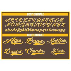 Custom Brown & Yellow Baseball Jersey - Image 3
