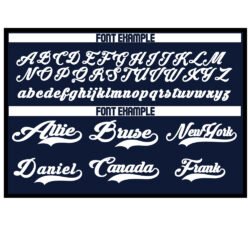 Custom Softball Navy & White - Image 2